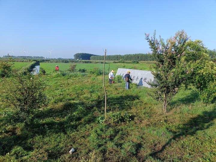 村公墓除草